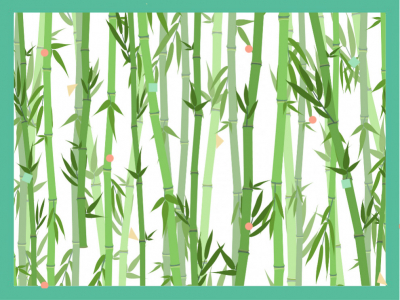 Pourquoi pas du bambou pour nos lingettes ? 